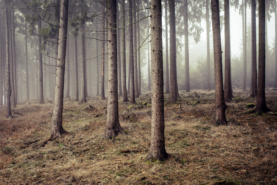 Nekustamā īpašuma foto un video tūres